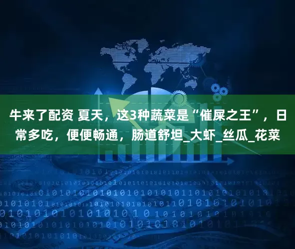牛来了配资 夏天，这3种蔬菜是“催屎之王”，日常多吃，便便畅通，肠道舒坦_大虾_丝瓜_花菜