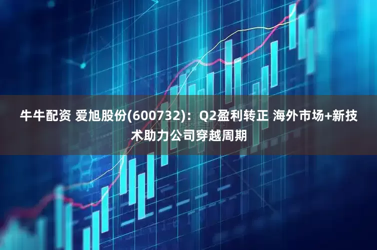 牛牛配资 爱旭股份(600732):Q2盈利转正 海外市场+新技术助力公司穿越周期